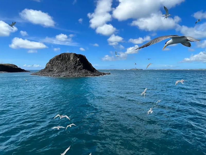 自由先生-印象旅行社有限公司 |自由先生 印象旅行社 自由先生-印象旅行社有限公司 |自由先生 印象旅行社